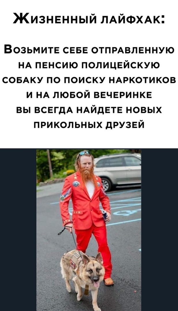 Так себе картинки 26.07.22