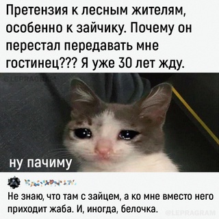 Картинки и мемы для настроения - 123