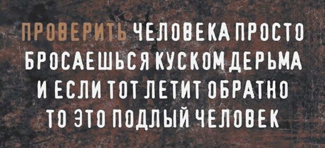 Забавные комментарии из социальных сетей 26.12.22