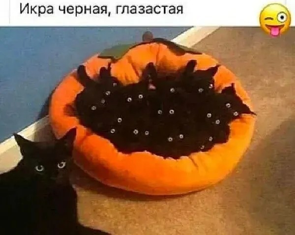 Юмор в картинках и без