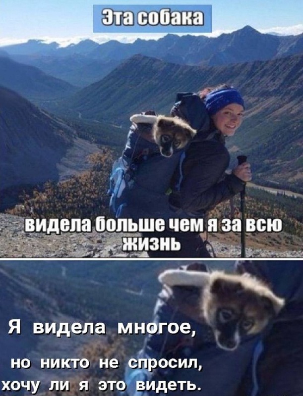 Картинки и мемы для настроения - 119