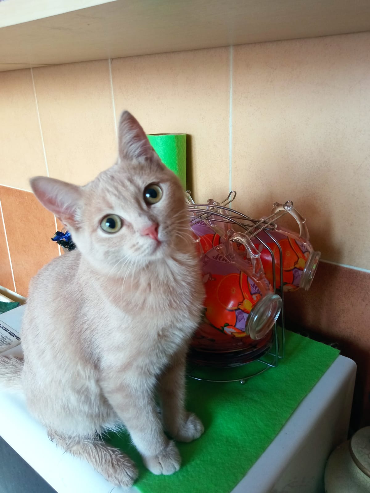 Как я Марфушку встретил - ЯПлакалъ