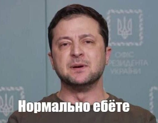 Акула насмерть загрызла мужчину в Хургаде. Всё произошло недалеко от пляжа отеля Dream Beach