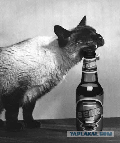 Синей изоленты не было