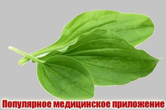 Так себе картинки 17.06.26