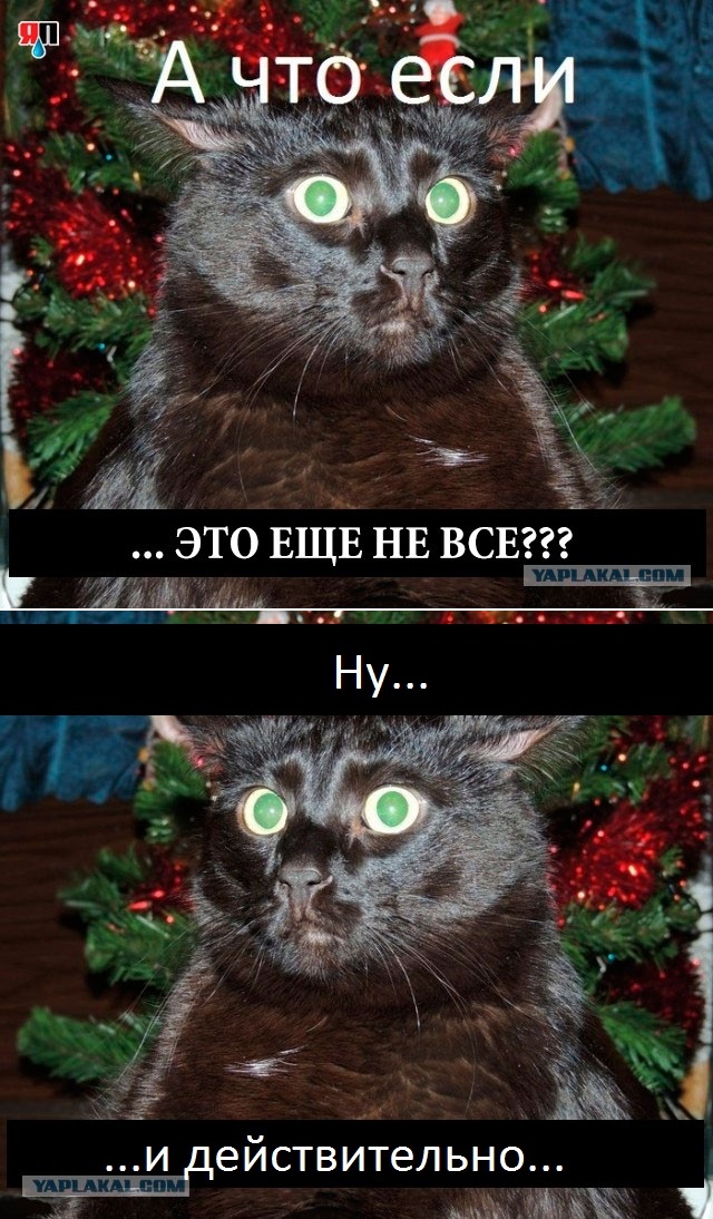 Теперь ты видел всё