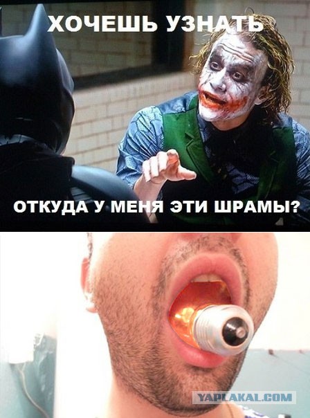 Интересный факт