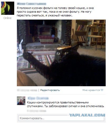 Смешные комментарии из социальных сетей #2