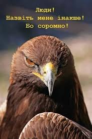 "Георгиевские " ленточки против флагов УПА