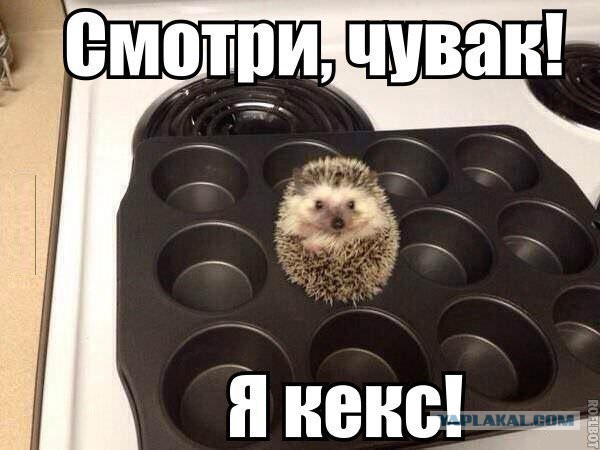Картинки