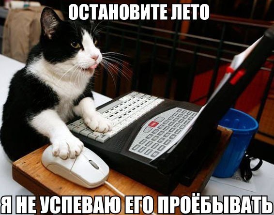 Отмена бана выглядит так