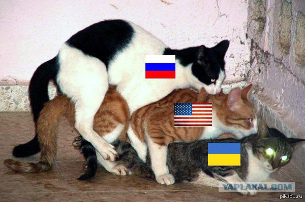 Из сети