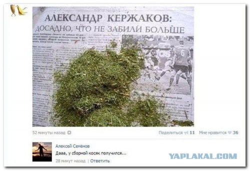 Смешные комментарии из социальных сетей