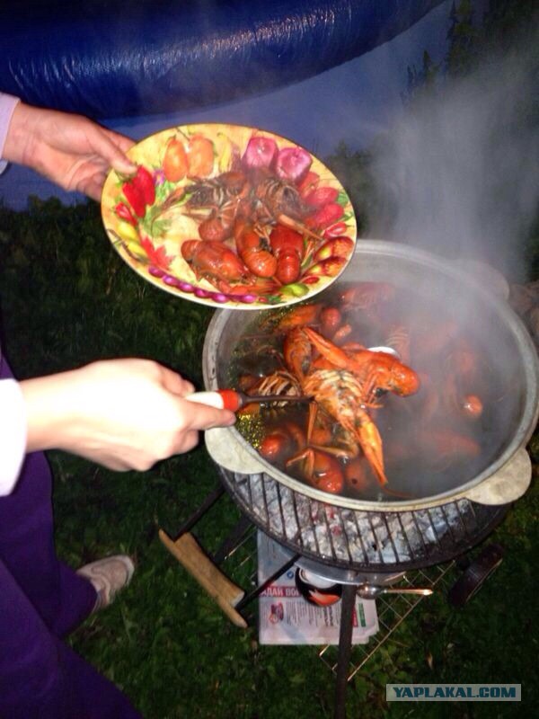 Любителям шашлыка