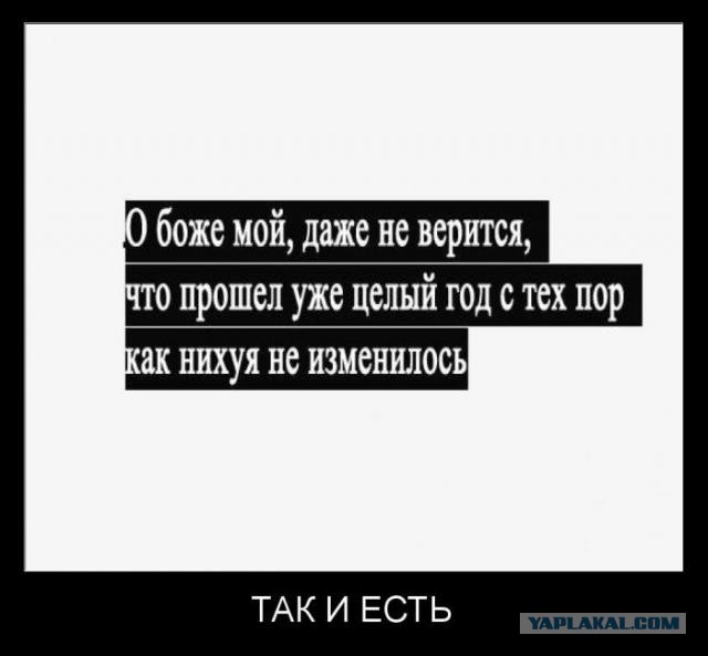 Подборка весёлых картинок
