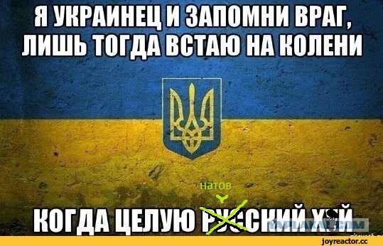 Тем временем на Украине