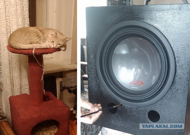 Мощный сабвуфер и скворечник для котэшки