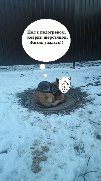 Ты на люке лежишь, ты теплый, я погреюсь на тебе