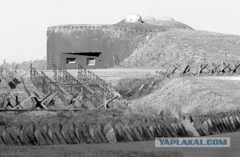 Завалили трупами