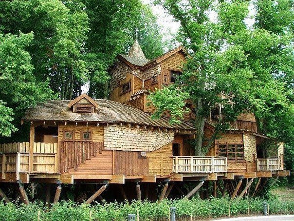 Интересные и веселые картинки