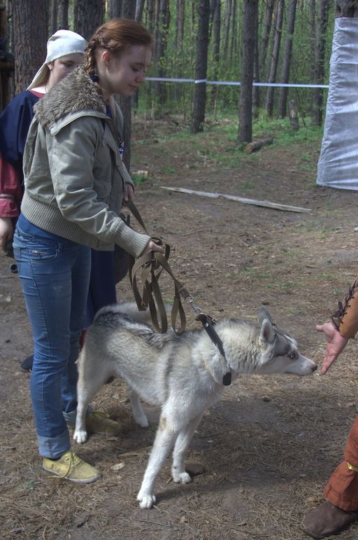 Поцелуй волка