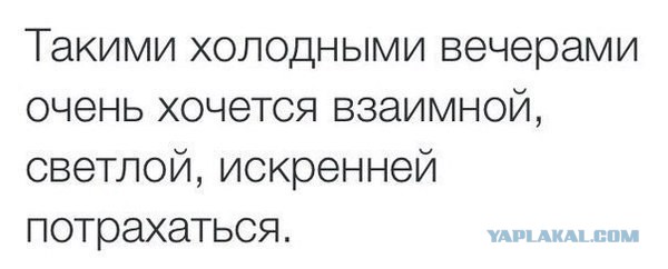 Картинки на пятницу
