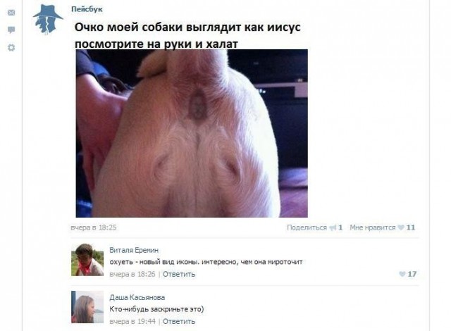 Жительница Самары специально раздавила собаку, вставшую перед её автомобилем
