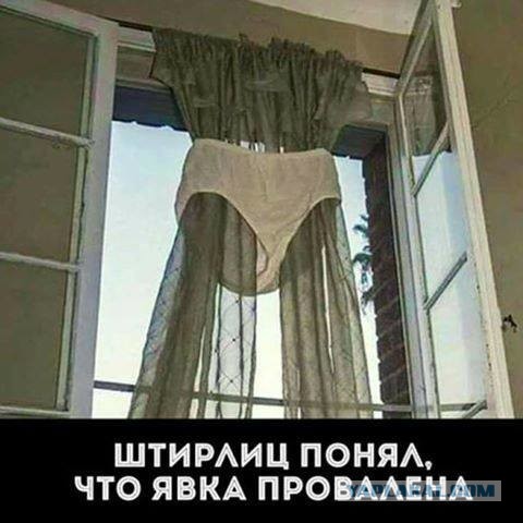 Удивительное и не всегда приличное... белье
