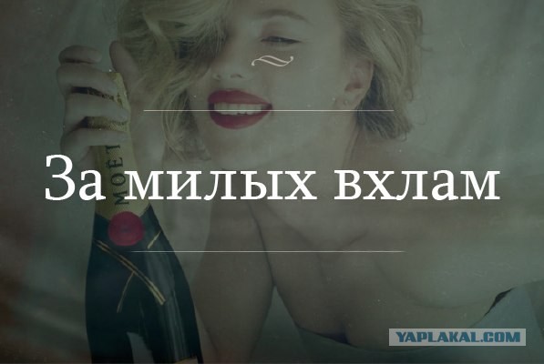 Трезвенники вообще ещё остались?