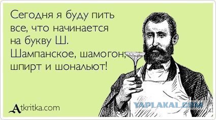 Немного веселых картинок для пятничного настроения