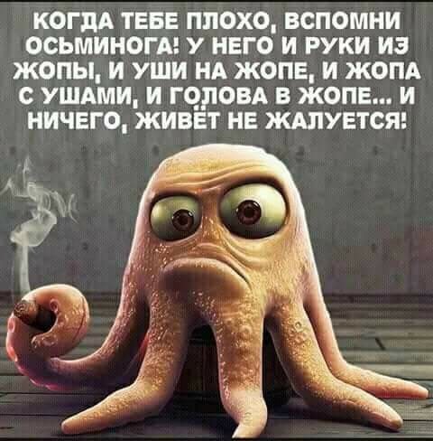 Прикольные картинки обо всём