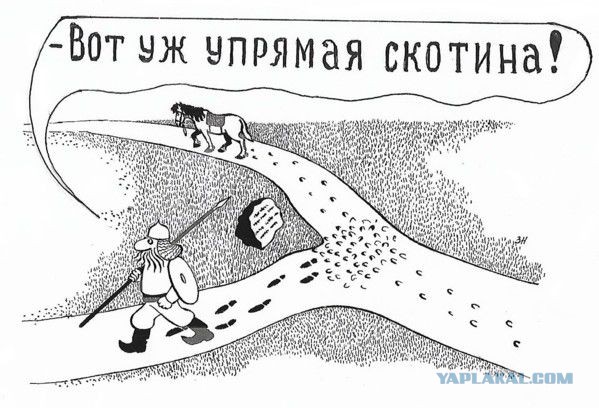 Подборка интересных и веселых картинок