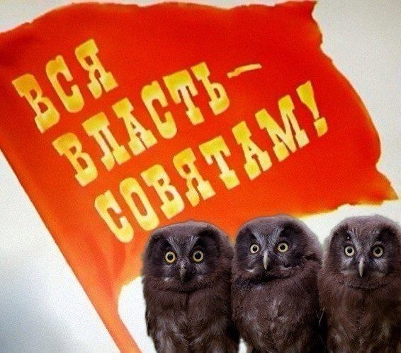 12 плюсов жизни незамужней девушки