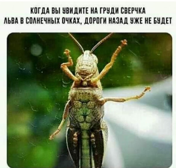 Сборка жипегов