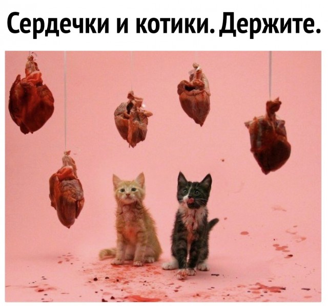 Бредзона и не только