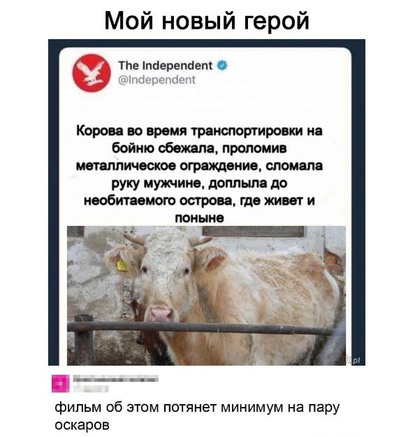 Картинки и мемы для настроения 28.04.2021
