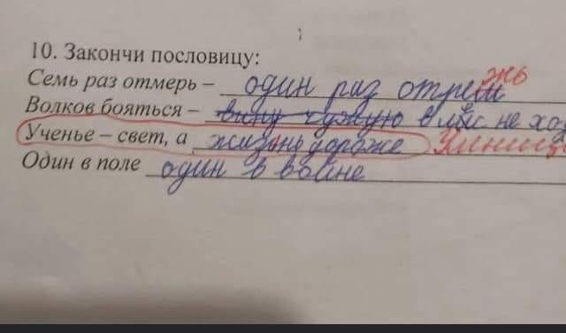 Птички-невелички, налетай