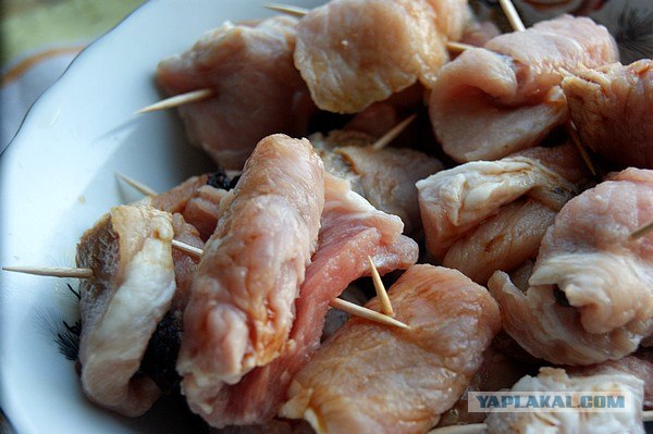 International одной книги., В память о Дженибеке.