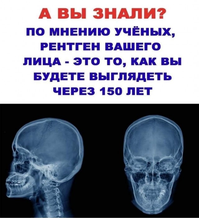 Картинки для тех, кто похмелился