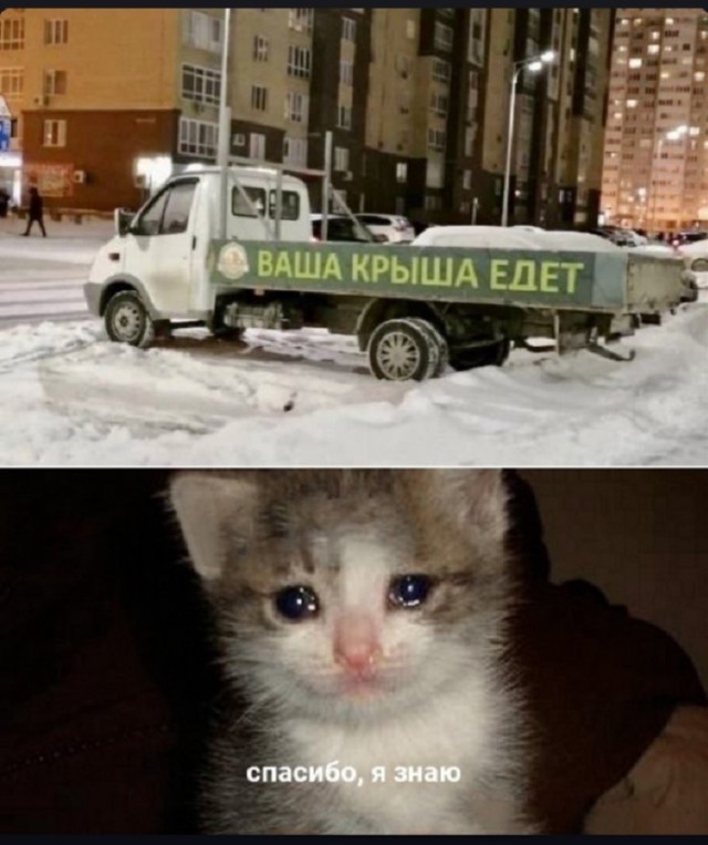 Аморальные картинки