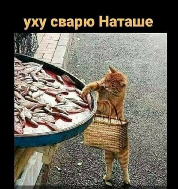 Картинки и мемы для настроения - 21