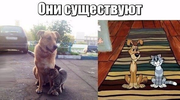 Немного картинок для настроения - 125