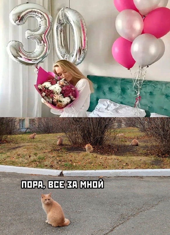 Картинки и мемы для настроения - 119
