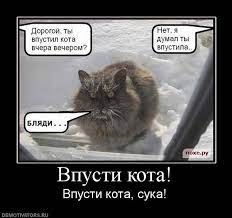 Большая разница в возрасте: хочу развестись, чтобы не содержать мужа на пенсии