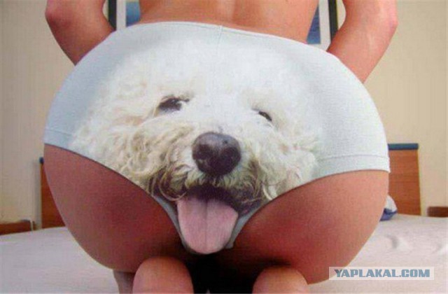 Как мы с кошенькой диван чинили
