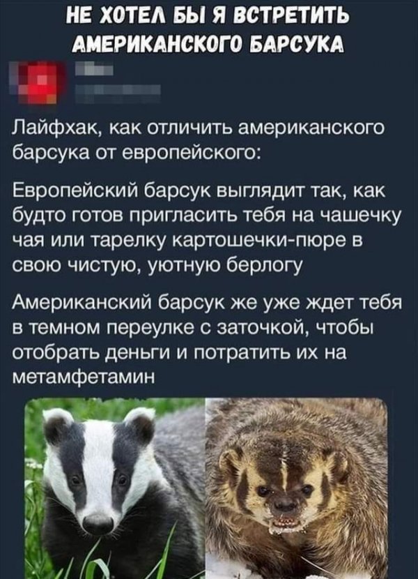 Всем хороших выходных - картинки и т.п.