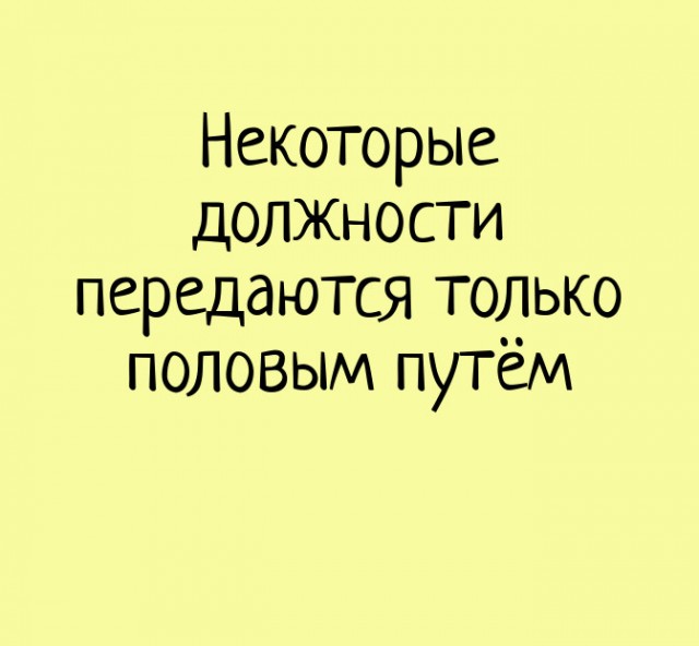 Баяны 10-ти летней выдержки