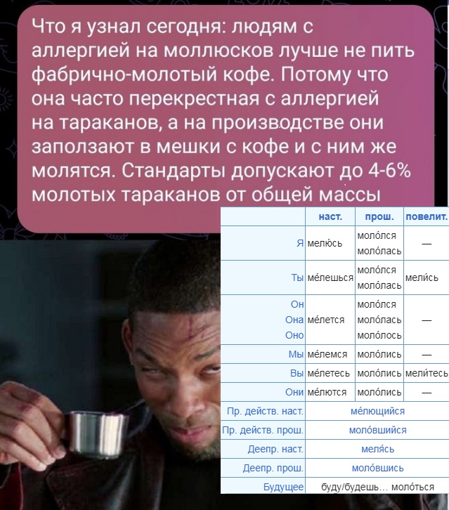 Весёлый полтишок 18.01.24