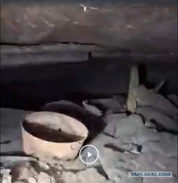 Какая любопытная дырочка