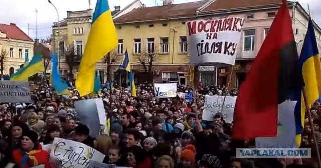 Зеленский исключен из обсуждения США с Россией по судьбе Украины